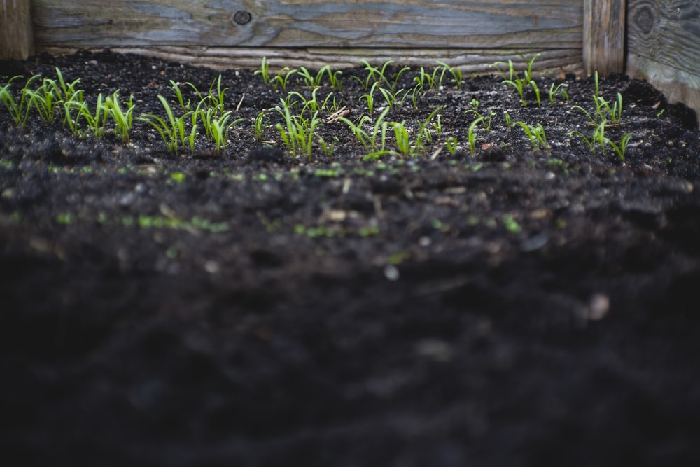 Soil Fertility