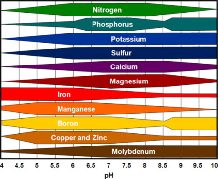 Soil Ph